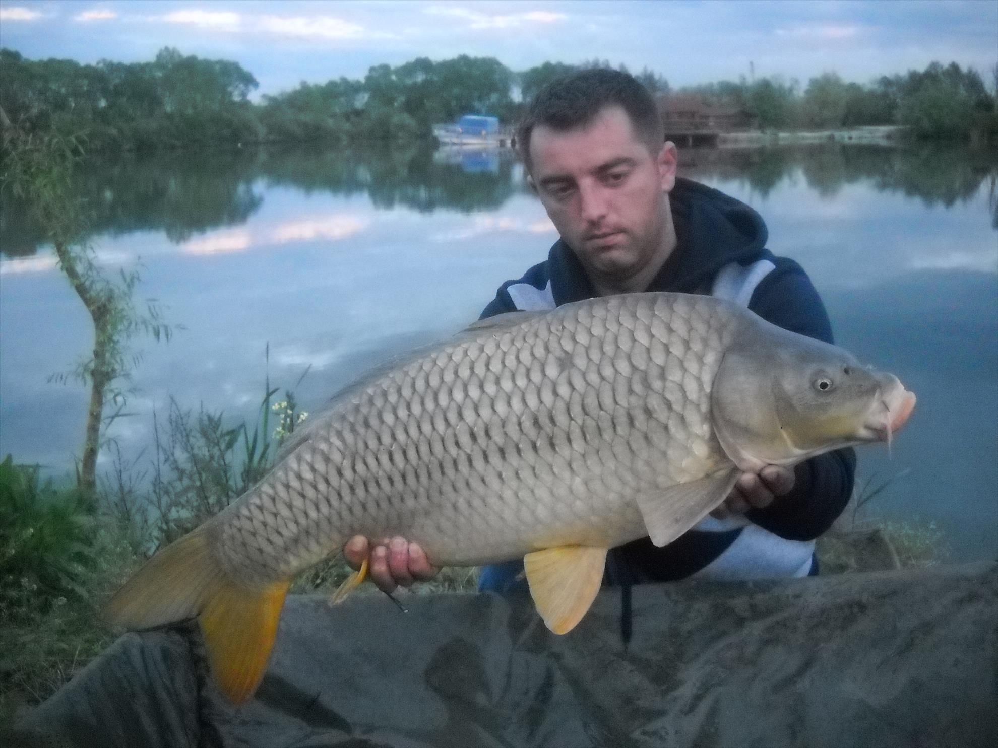 Fughiu BH - dscn1107.jpg